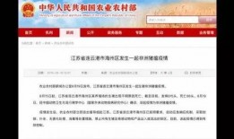 广西新闻爆料没人理,关注民生，助力解决群众难题